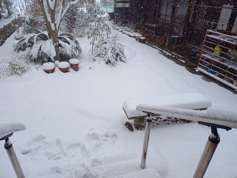 関東南部でいうところの大雪