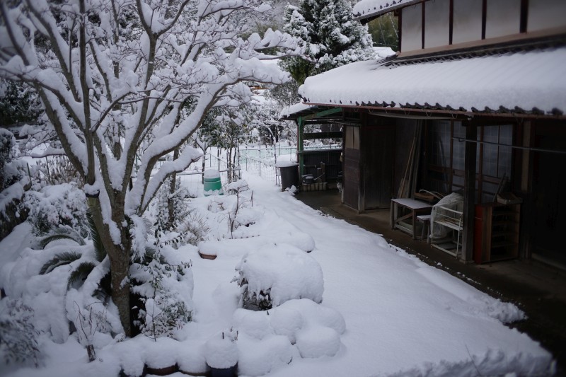 そりゃ寒いよなぁ