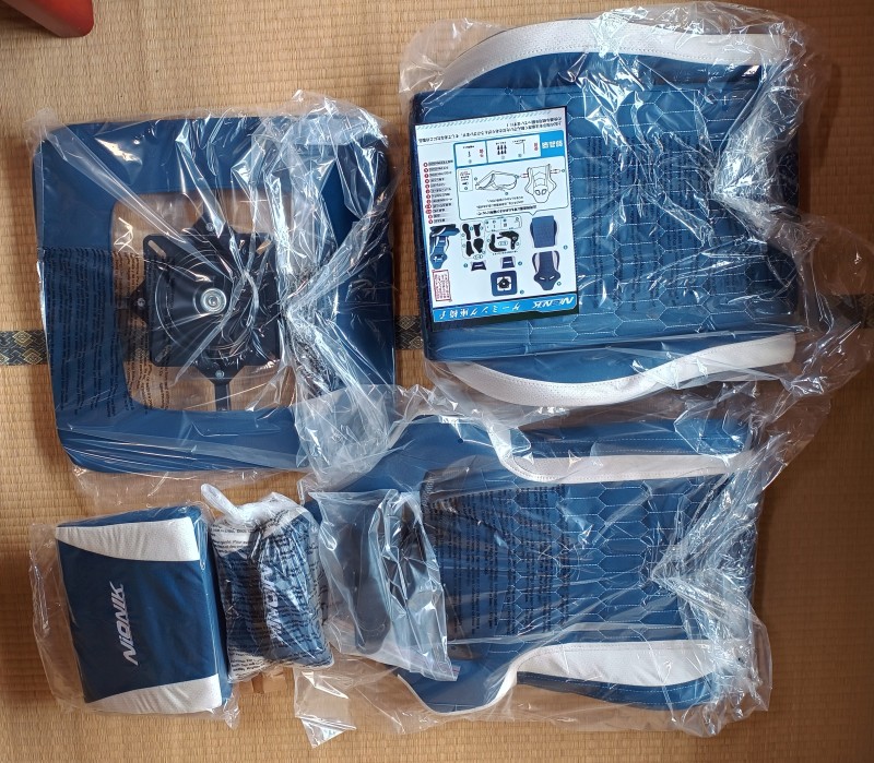 結局NIONIKにした